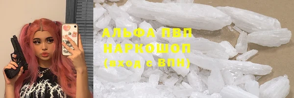 ПСИЛОЦИБИНОВЫЕ ГРИБЫ Баксан