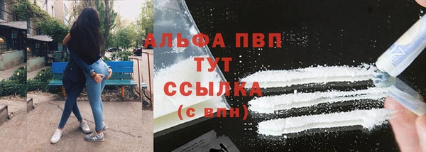 ПСИЛОЦИБИНОВЫЕ ГРИБЫ Баксан
