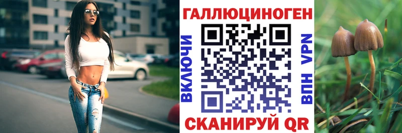 Галлюциногенные грибы прущие грибы  Купить  Юрьев-Польский 